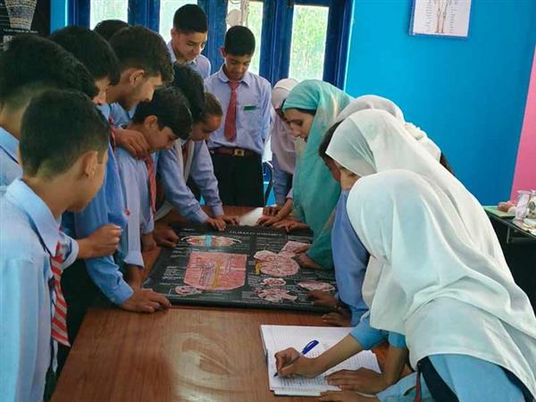 School Activities
