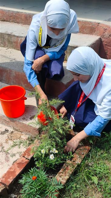 World environment day celebrations